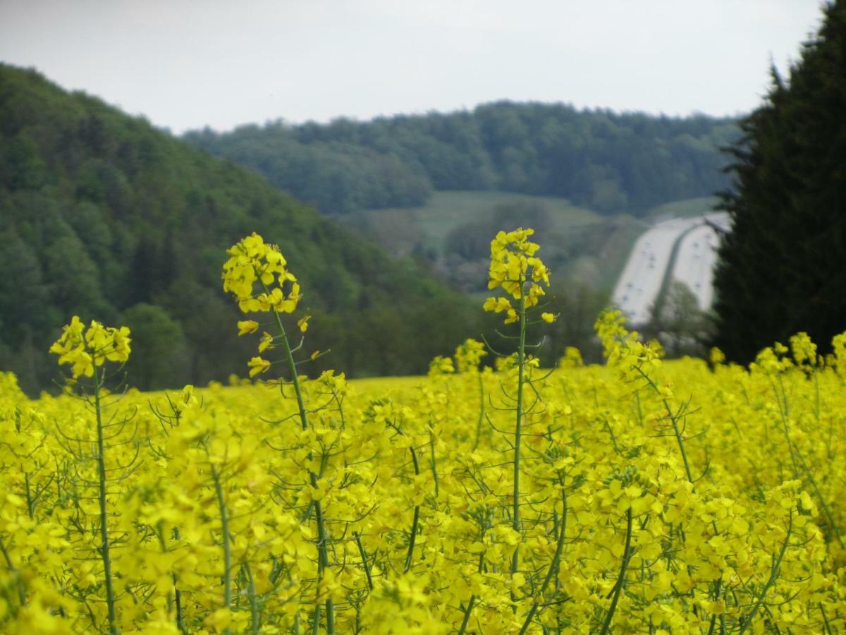 Ferienwohnung Brunow "In Der Natur Zuhause" Neundorf  المظهر الخارجي الصورة